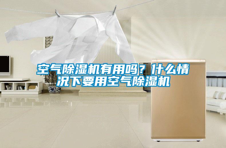 空氣除濕機(jī)有用嗎?什么情況下要用空氣除濕機(jī)