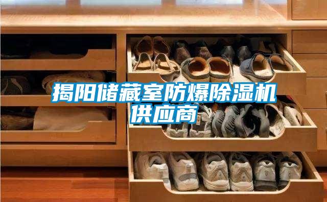 揭陽儲藏室防爆除濕機(jī)供應(yīng)商