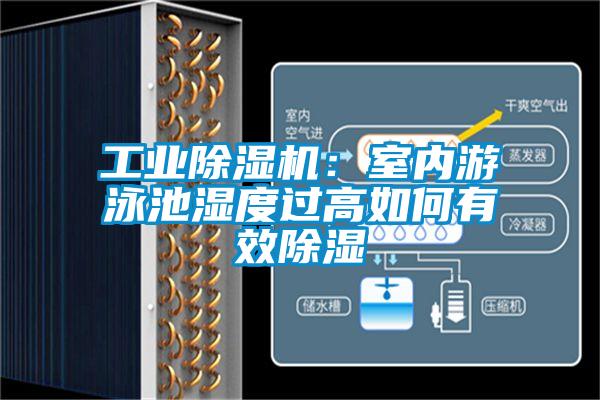 工業除濕機:室內游泳池濕度過高如何有效除濕