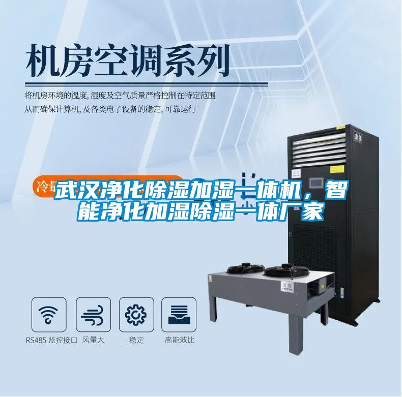武漢凈化除濕加濕一體機，智能凈化加濕除濕一體廠家