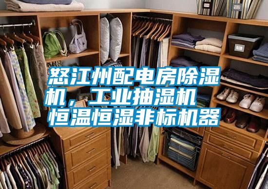 怒江州配電房除濕機，工業抽濕機  恒溫恒濕非標機器