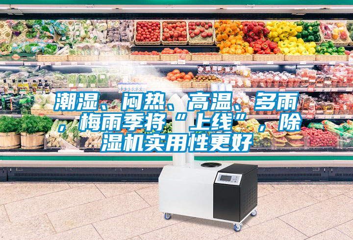 潮濕、悶熱、高溫、多雨，梅雨季將“上線”，除濕機實用性更好