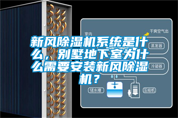 新風除濕機系統是什么，別墅地下室為什么需要安裝新風除濕機？