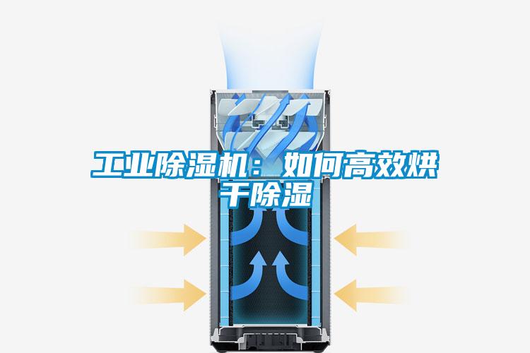 工業(yè)除濕機(jī):如何高效烘干除濕