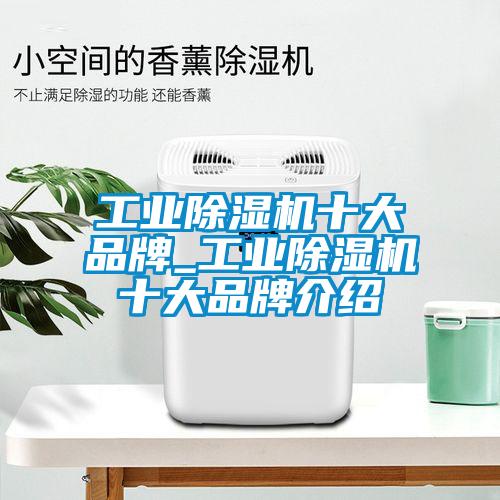 工業除濕機十大品牌_工業除濕機十大品牌介紹