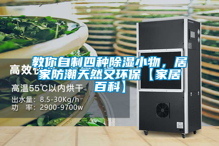 教你自制四種除濕小物，居家防潮天然又環?！炯揖影倏啤?/></p>
						    <p style=