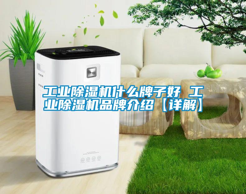 工業除濕機什么牌子好 工業除濕機品牌介紹【詳解】