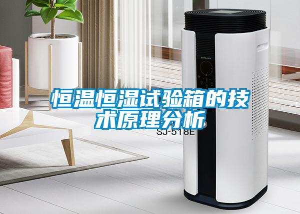 恒溫恒濕試驗箱的技術(shù)原理分析