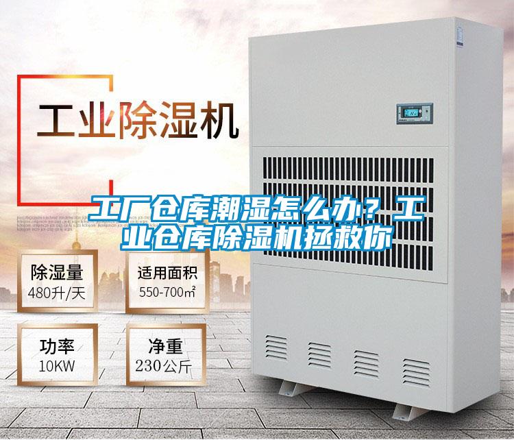 工廠倉庫潮濕怎么辦?工業倉庫除濕機拯救你