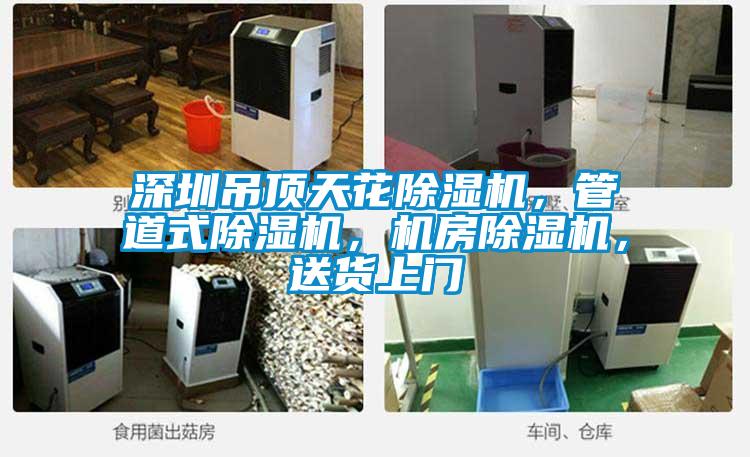 深圳吊頂天花除濕機(jī)，管道式除濕機(jī)，機(jī)房除濕機(jī)，送貨上門