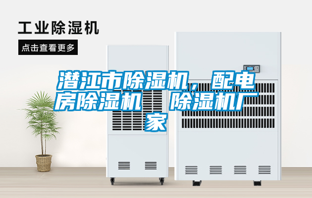 潛江市除濕機(jī)，配電房除濕機(jī)  除濕機(jī)廠家