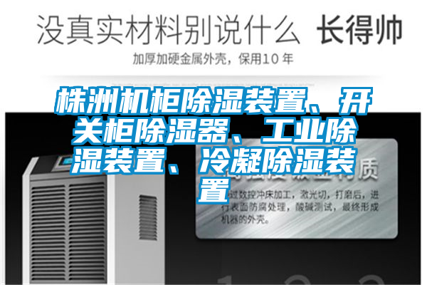 株洲機柜除濕裝置、開關(guān)柜除濕器、工業(yè)除濕裝置、冷凝除濕裝置