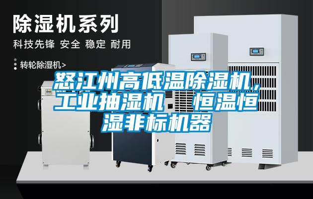 怒江州高低溫除濕機,工業抽濕機 恒溫恒濕非標機器