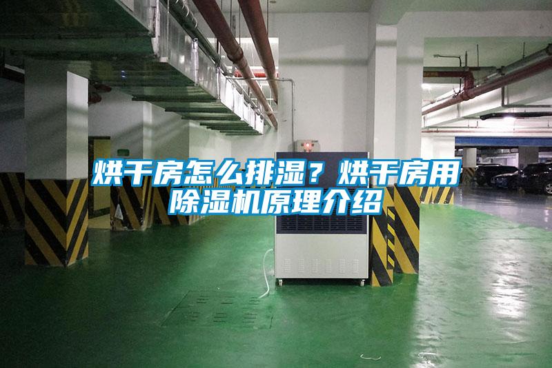 烘干房怎么排濕？烘干房用除濕機(jī)原理介紹