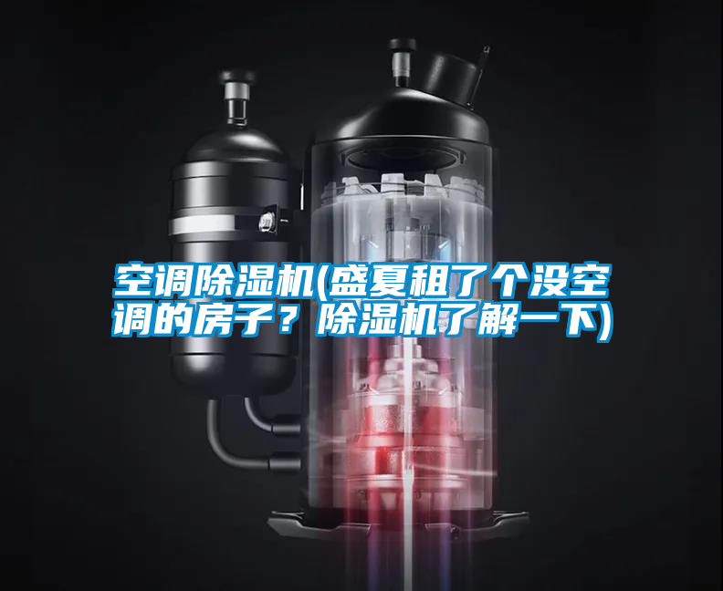 空調(diào)除濕機(jī)(盛夏租了個(gè)沒(méi)空調(diào)的房子？除濕機(jī)了解一下)
