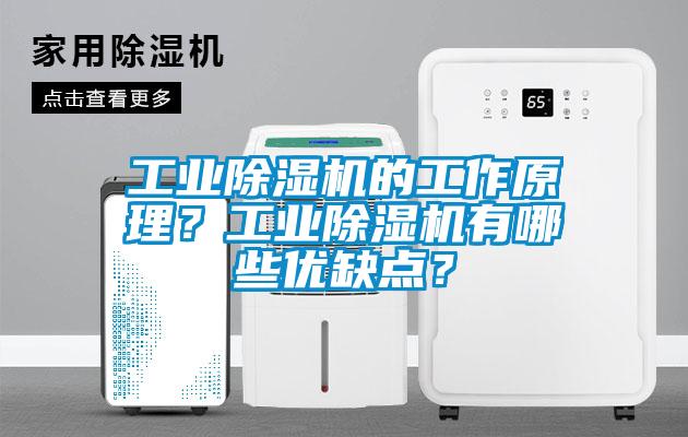 工業除濕機的工作原理？工業除濕機有哪些優缺點？