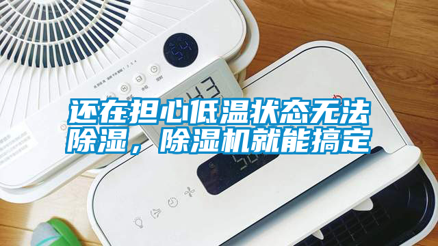 還在擔心低溫狀態無法除濕，除濕機就能搞定