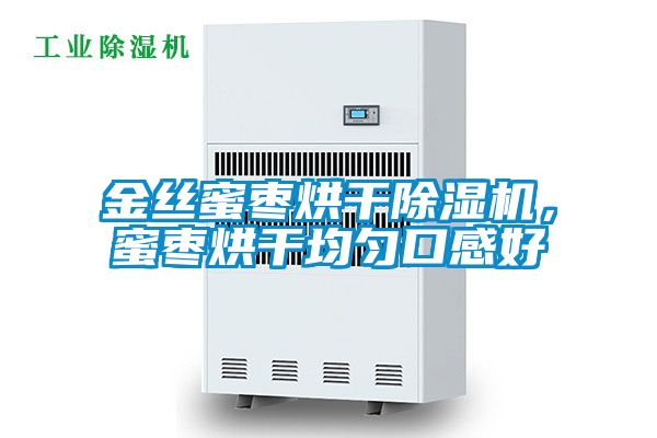 金絲蜜棗烘干除濕機,蜜棗烘干均勻口感好