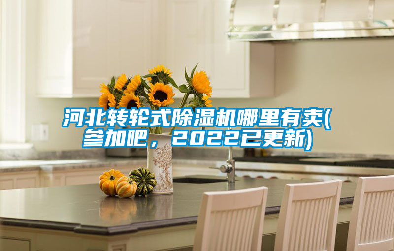 河北轉(zhuǎn)輪式除濕機哪里有賣(參加吧，2022已更新)