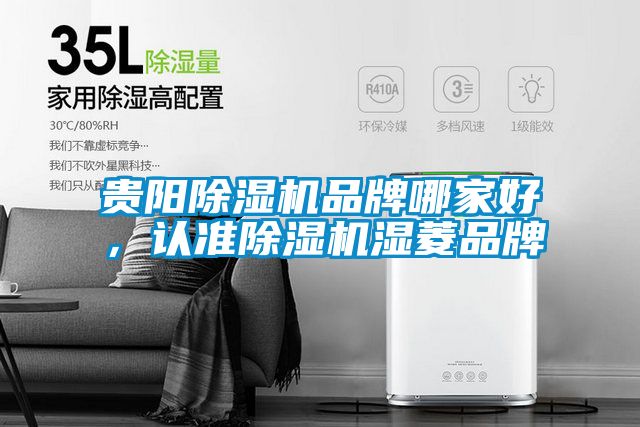 貴陽除濕機(jī)品牌哪家好,認(rèn)準(zhǔn)除濕機(jī)濕菱品牌