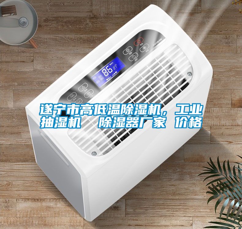 遂寧市高低溫除濕機，工業抽濕機  除濕器廠家 價格