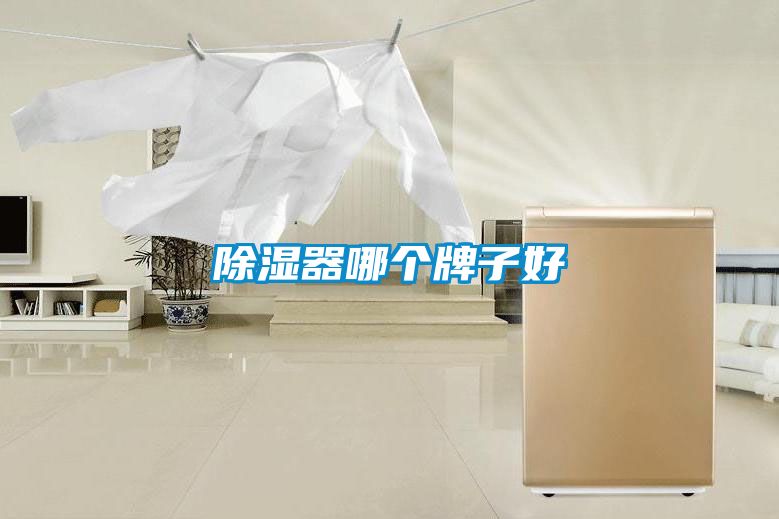 除濕器哪個(gè)牌子好
