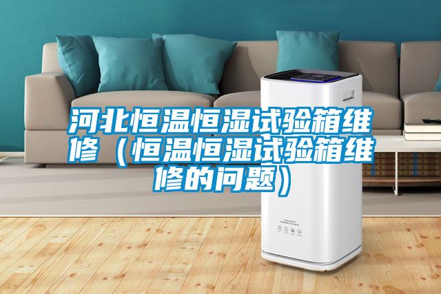 河北恒溫恒濕試驗(yàn)箱維修(恒溫恒濕試驗(yàn)箱維修的問題)