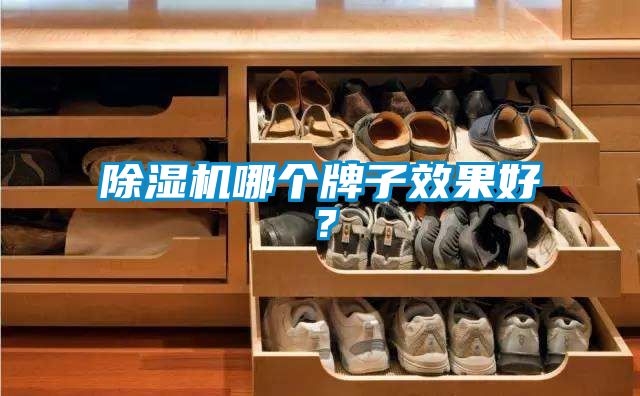 除濕機(jī)哪個(gè)牌子效果好?