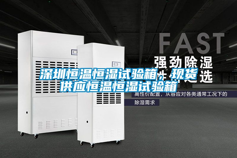 深圳恒溫恒濕試驗箱,現貨供應恒溫恒濕試驗箱