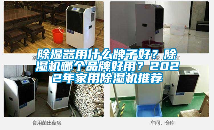 除濕器用什么牌子好?除濕機哪個品牌好用?2022年家用除濕機推薦