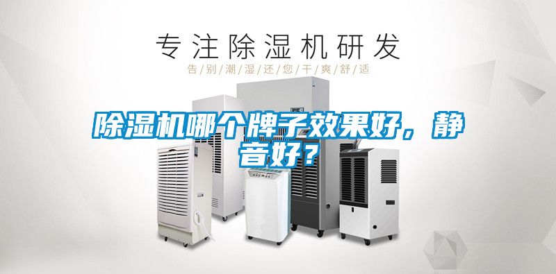 除濕機(jī)哪個牌子效果好,靜音好?