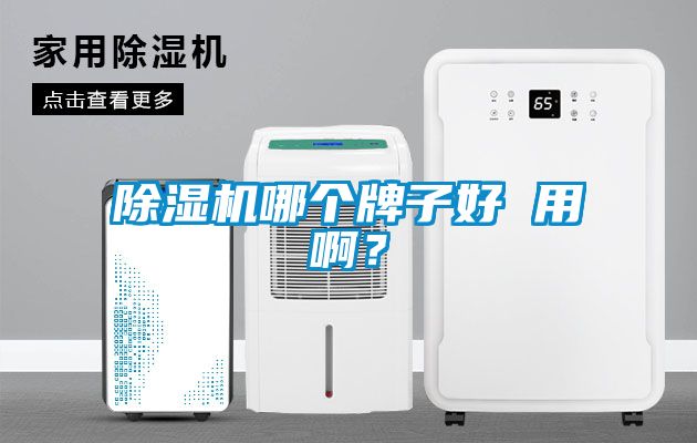 除濕機(jī)哪個(gè)牌子好 用啊？