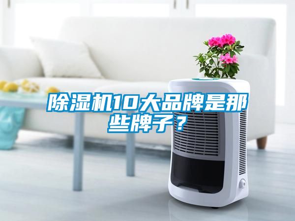 除濕機10大品牌是那些牌子?