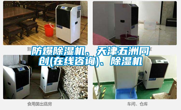 防爆除濕機、天津五洲同創(在線咨詢)、除濕機