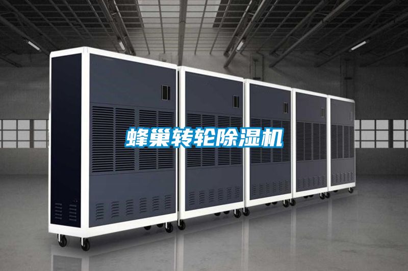蜂巢轉(zhuǎn)輪除濕機