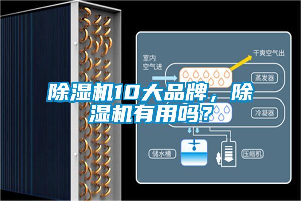 除濕機10大品牌，除濕機有用嗎？
