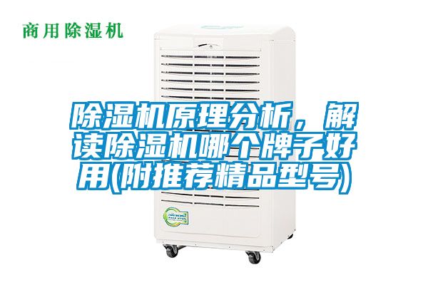 除濕機原理分析，解讀除濕機哪個牌子好用(附推薦精品型號)