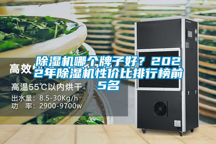 除濕機哪個牌子好？2022年除濕機性價比排行榜前5名