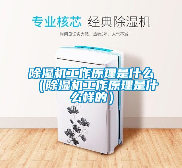 除濕機(jī)工作原理是什么(除濕機(jī)工作原理是什么樣的)