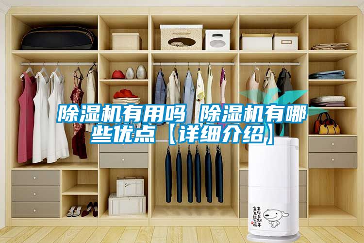 除濕機(jī)有用嗎 除濕機(jī)有哪些優(yōu)點【詳細(xì)介紹】