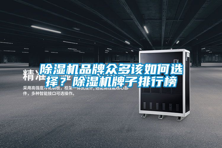 除濕機品牌眾多該如何選擇?除濕機牌子排行榜