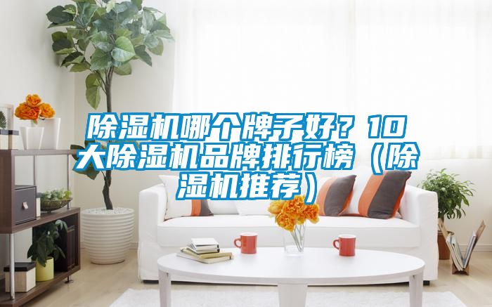 除濕機(jī)哪個(gè)牌子好?10大除濕機(jī)品牌排行榜(除濕機(jī)推薦)