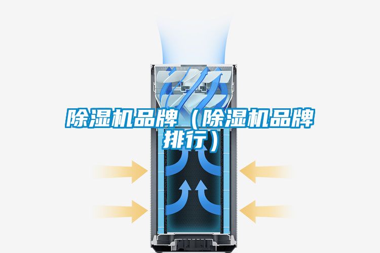 除濕機(jī)品牌(除濕機(jī)品牌排行)