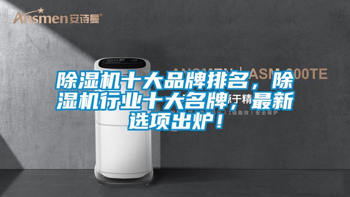 除濕機十大品牌排名,除濕機行業十大名牌,最新選項出爐!