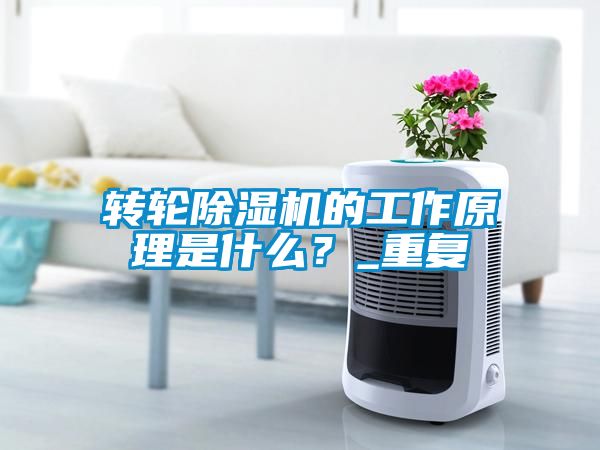 轉輪除濕機的工作原理是什么？_重復