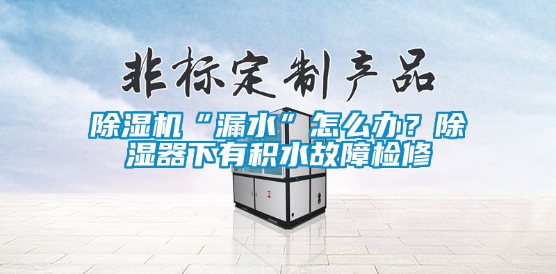 除濕機“漏水”怎么辦?除濕器下有積水故障檢修