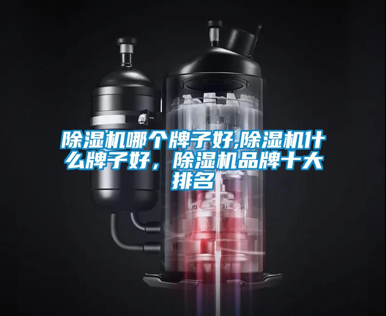除濕機哪個牌子好,除濕機什么牌子好，除濕機品牌十大排名