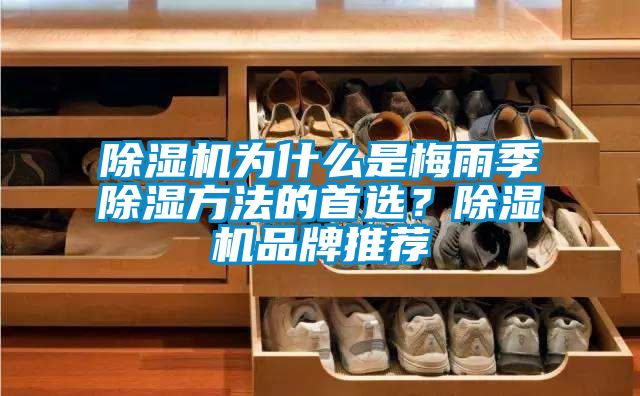 除濕機(jī)為什么是梅雨季除濕方法的首選?除濕機(jī)品牌推薦
