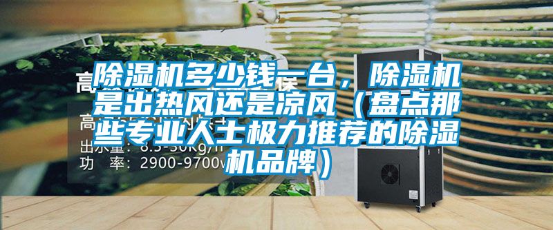 除濕機(jī)多少錢一臺,除濕機(jī)是出熱風(fēng)還是涼風(fēng)(盤點(diǎn)那些專業(yè)人士極力推薦的除濕機(jī)品牌)