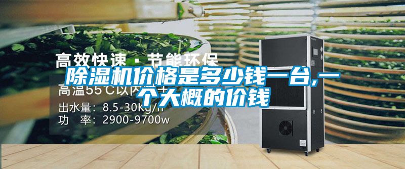 除濕機(jī)價格是多少錢一臺,一個大概的價錢